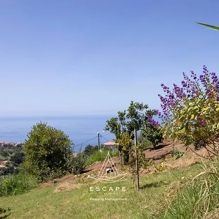 Hilltop Hideaway By Escape To Madeira فيلة *