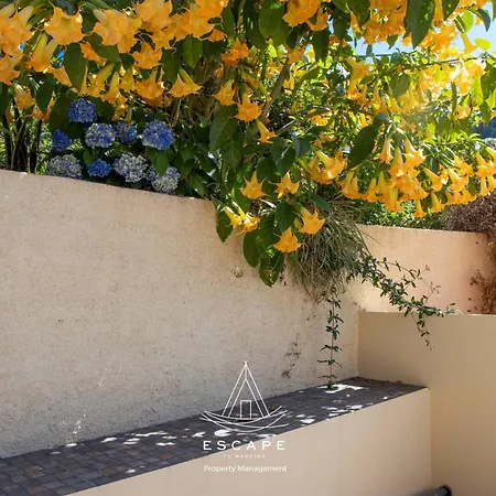 فيلة Hilltop Hideaway By Escape To Madeira أركو دا كالهيتا