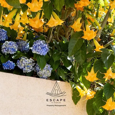 Hilltop Hideaway By Escape To Madeira فيلة