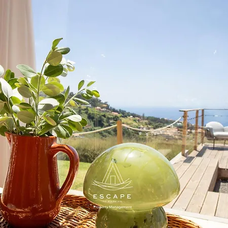 别墅 Hilltop Hideaway By Escape To Madeira 阿科达卡列塔