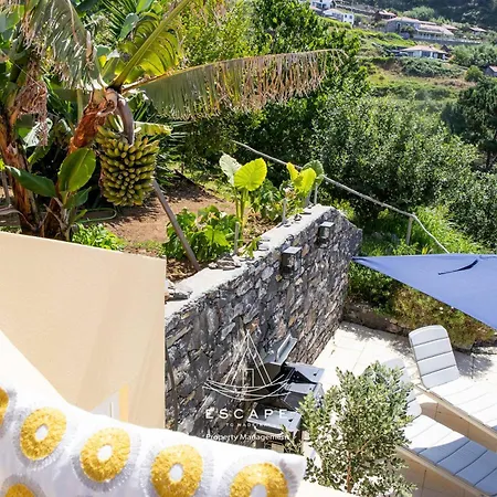Hilltop Hideaway By Escape To Madeira 别墅 阿科达卡列塔
