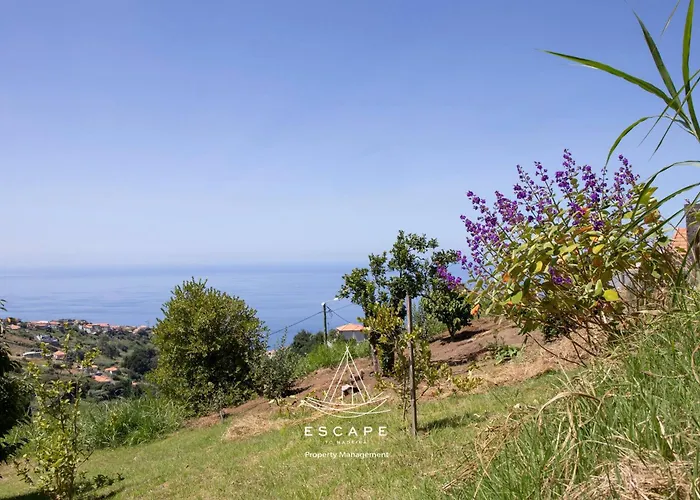 Hilltop Hideaway By Escape To Madeira ヴィラ *