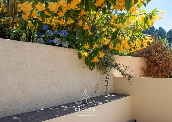 ヴィラ Hilltop Hideaway By Escape To Madeira アルコ・ダ・カリェタ