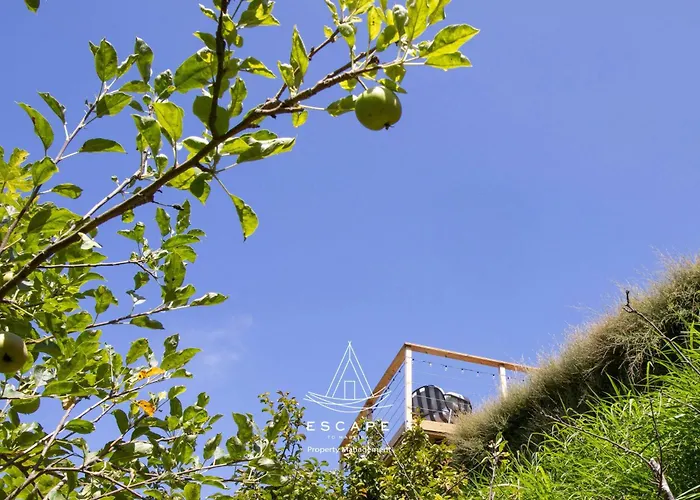 Hilltop Hideaway By Escape To Madeira ヴィラ