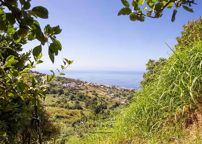 Hilltop Hideaway By Escape To Madeira アルコ・ダ・カリェタ