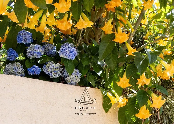 Hilltop Hideaway By Escape To Madeira ヴィラ