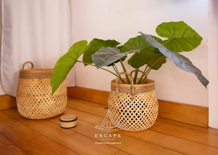 Hilltop Hideaway By Escape To Madeira ヴィラ アルコ・ダ・カリェタ